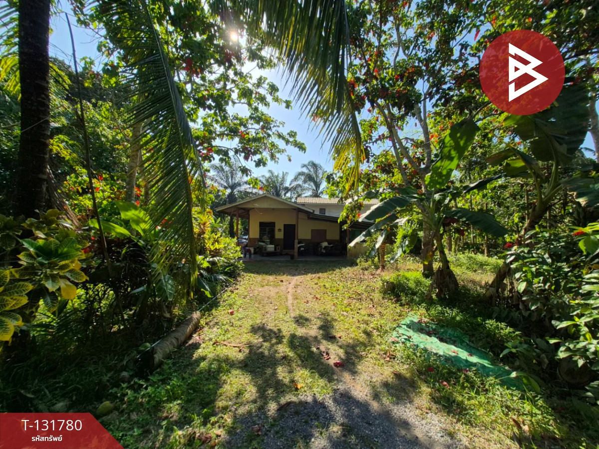 ขายที่ดินสมุย สุราษฎร์ธานี : ขายที่ดินพร้อมสิ่งปลูกสร้าง 2 ไร่ 1 งาน 26.4 ตารางวา คลองน้อย สุราษฎร์ธานี