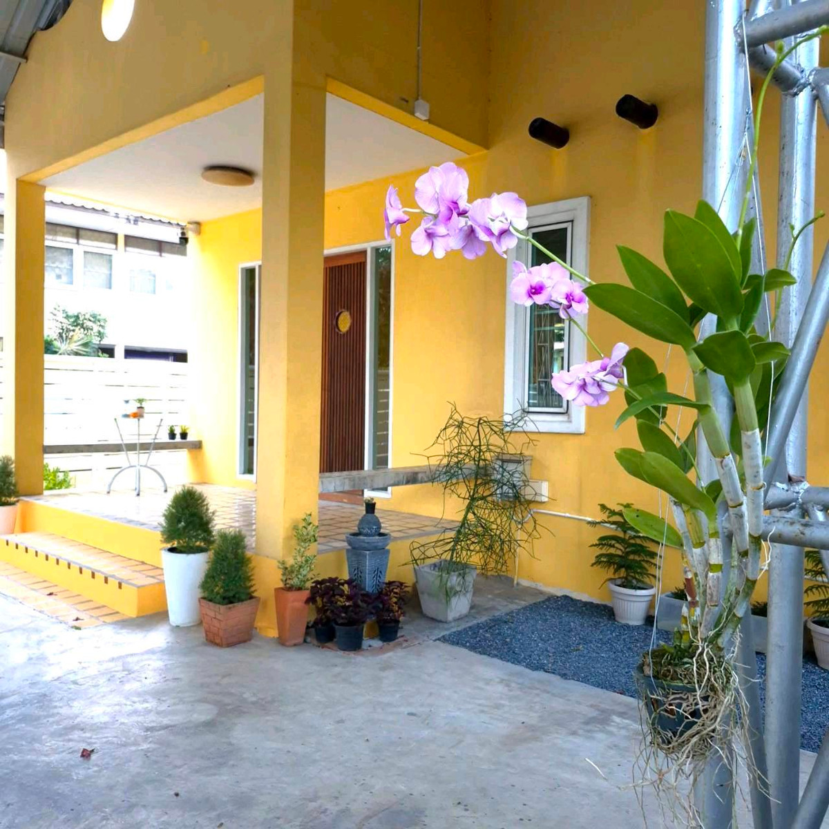 For RentHouseChokchai 4, Ladprao 71, Ladprao 48, : Single-storey detached house for rent, Lat Phrao 71
