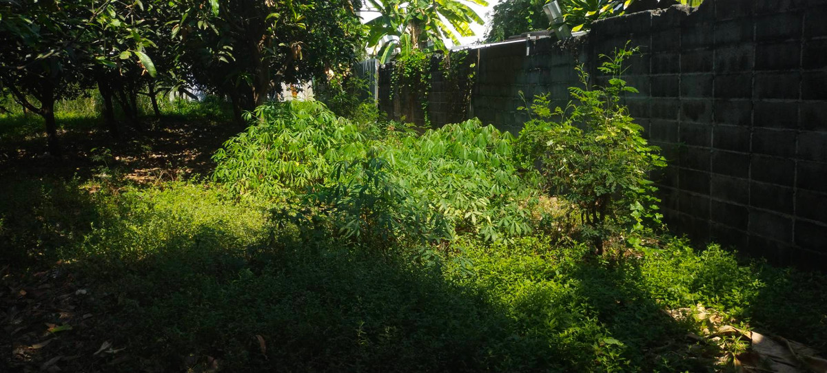 ขายที่ดินโชคชัย4 ลาดพร้าว71 : ด่วน!!ขายที่ดิน ลาดพร้าว 101/21 ทำเลทอง สี่เหลี่ยมสวย 197 ตรว. กว้าง 15.8 ลึก 48.8 เมตร 