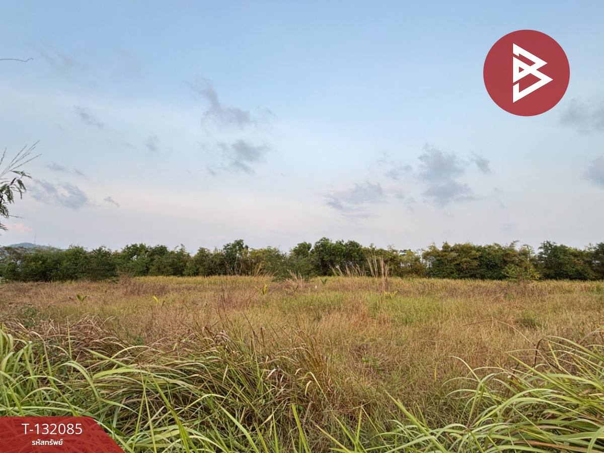 ขายที่ดินระยอง : ขายที่ดิน เนื้อที่ 1 ไร่ 4 ตารางวา ต.เพ ระยอง