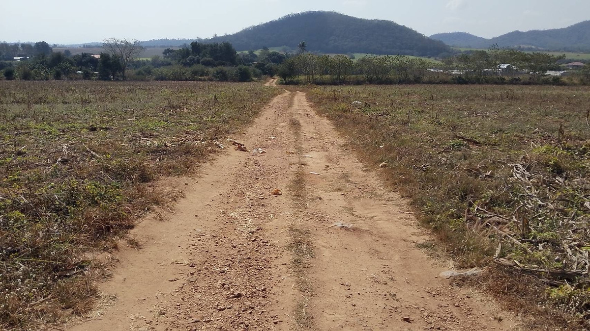 ขายที่ดินปากช่อง เขาใหญ่ : ที่โฉนดเขาใหญ่ วิวภูเขาอลังการ ราคาแบบนี้หาไม่ได้อีกแล้ว