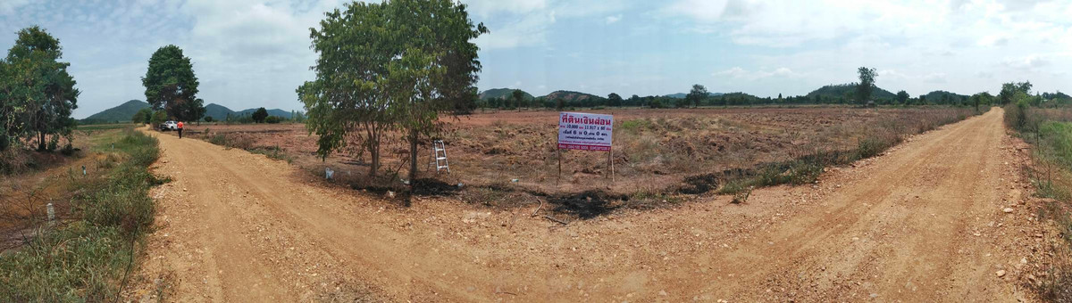 ขายที่ดินชัยนาท : ขายที่ดิน  ตําบล ไพรนกยูง  อ.หันคา จ.ชัยนาท(รวม2โฉนด)