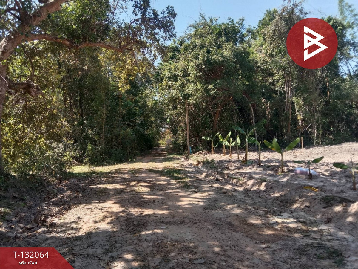 ขายที่ดินอุบลราชธานี : ขายที่ดิน เนื้อที่ 1 ไร่ 2 งาน กระโสบ อุบลราชธานี