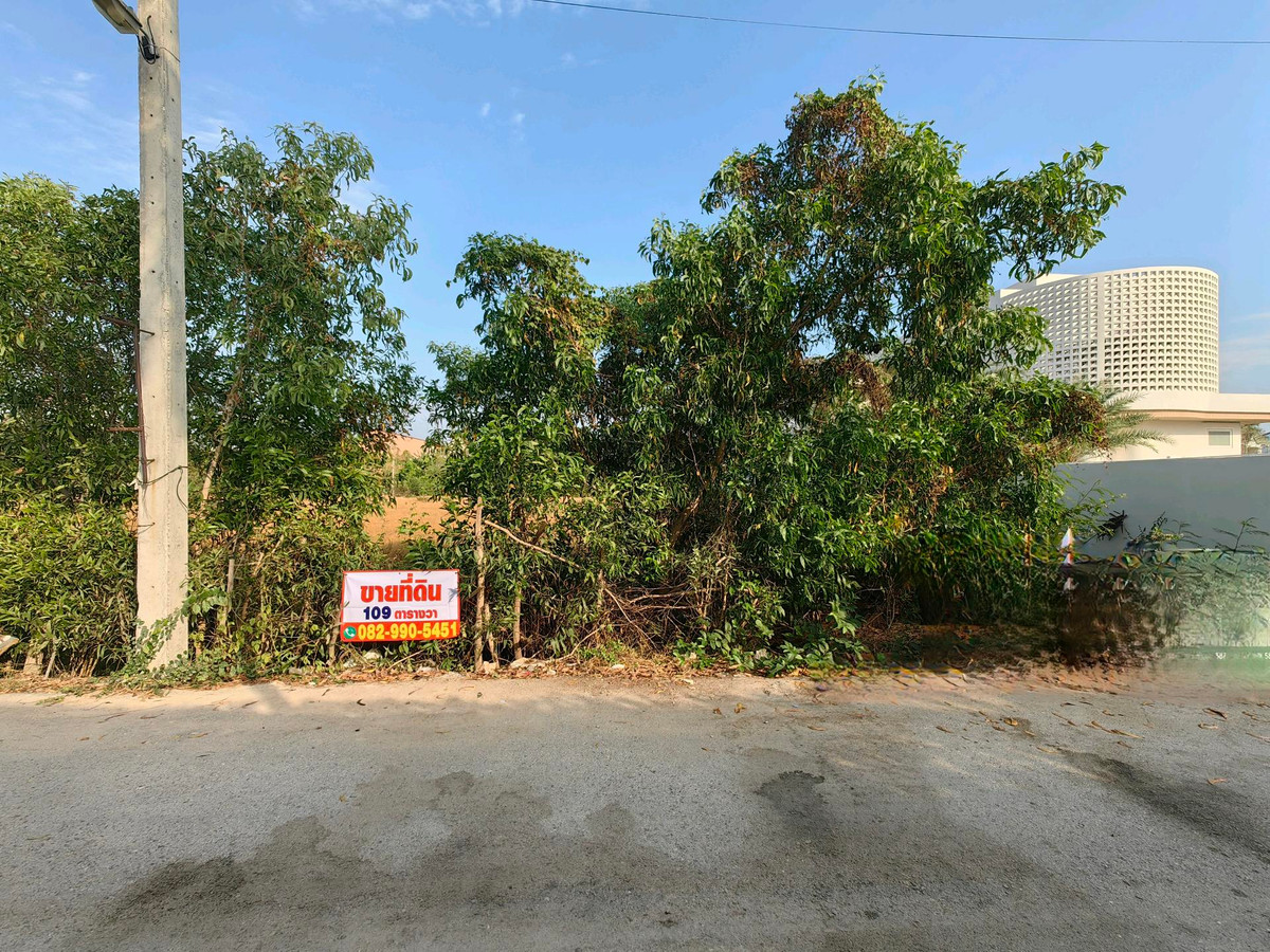 ขายที่ดินชะอำ เพชรบุรี : 💥 ขายที่ดิน 109 ตร.ว. อ.ชะอำ จ.เพชรบุรี (400 ม. ขาก ถ.เพชรเกษม ฝั่งหาดชะอำ)