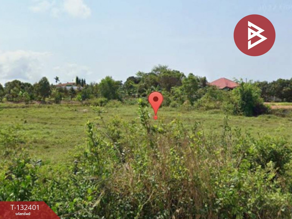 ขายที่ดินระยอง : ขายที่ดิน เนื้อที่ 1 ไร่ 2 งาน 13 ตร.วา ตะพง ระยอง