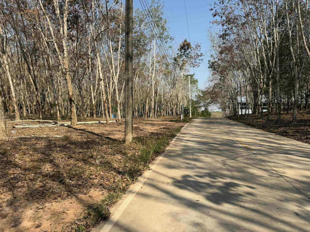 ขายที่ดินระยอง : ขาย ที่ดิน ผังสีม่วง แปลงใหญ่ 60 ไร่ เหมาะโรงงาน โกดัง