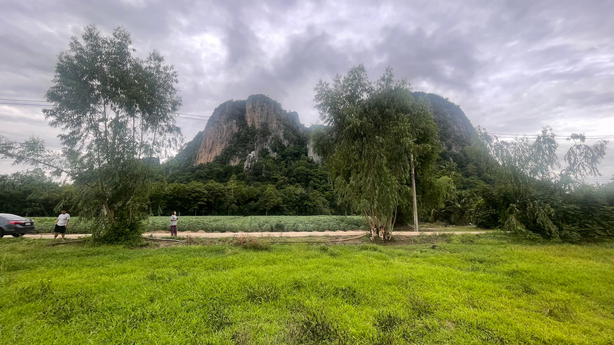 ขายที่ดินอุทัยธานี : ขายที่ดินวิวภูเขาสวย ใกล้จุดชมวิวสวิสเซอร์แลนด์เมืองไทย หุบป่าตาด อุทัยธานี