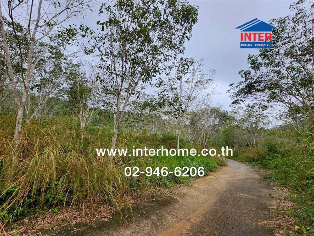 For SaleLandYala : Vacant land 33 rai 270 sq m, Than Nam Thip, near Pom Kwang Long intersection. Near Betong Airport Road to find number 4062 Road number 4326 Betong Yala
