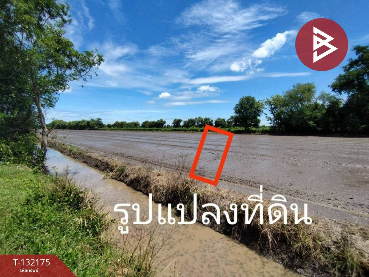 ขายที่ดินปทุมธานี รังสิต ธรรมศาสตร์ : ขายที่ดิน เนื้อที่ 1 ไร่ หนองเสือ ปทุมธานี