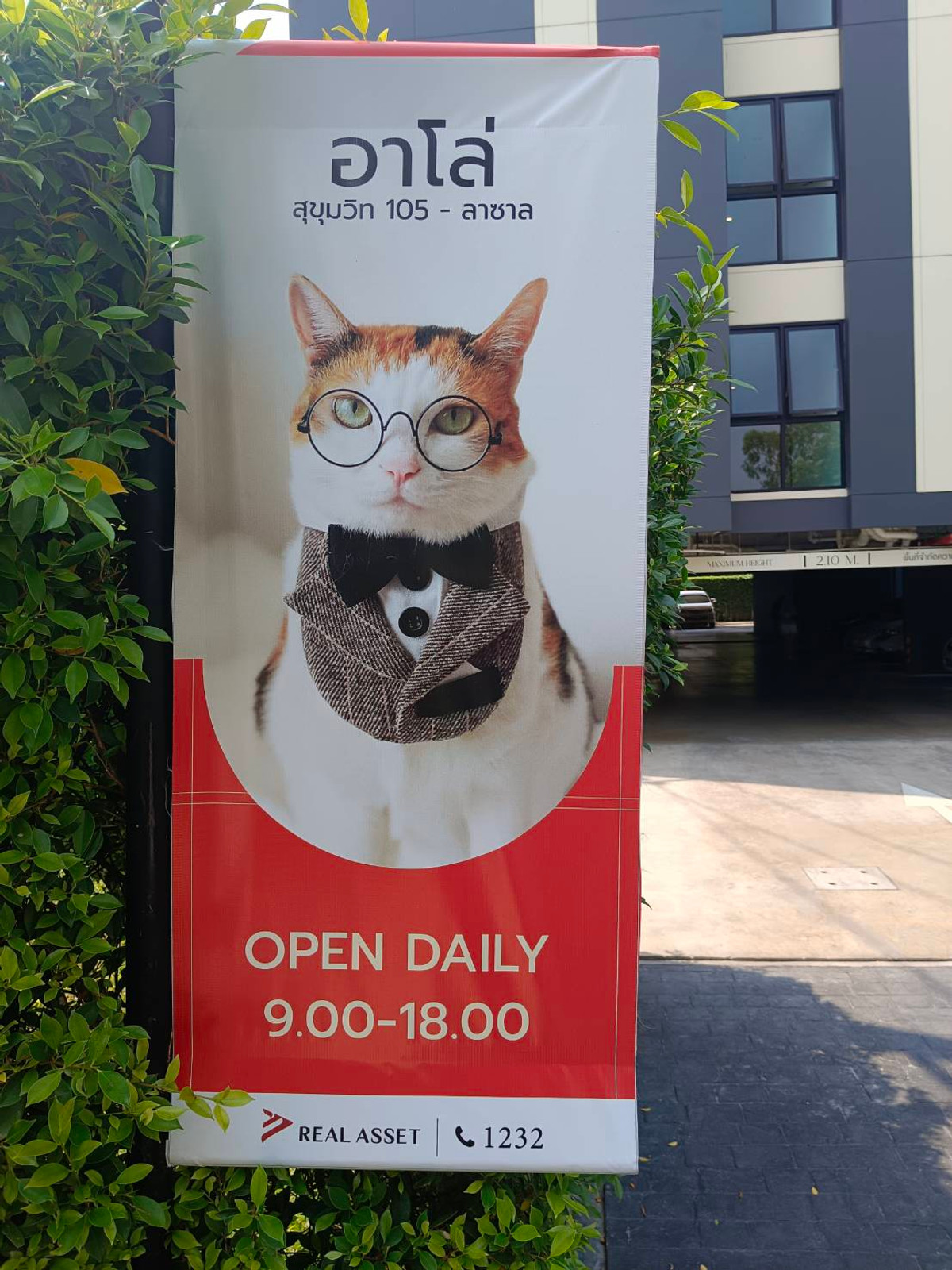 ขายคอนโดบางนา แบริ่ง ลาซาล : 📣📣 ขายคอนโดเลี้ยงสัตว์ได้ อาโล่ ลาซาล17- ARLO Lasalle 17 