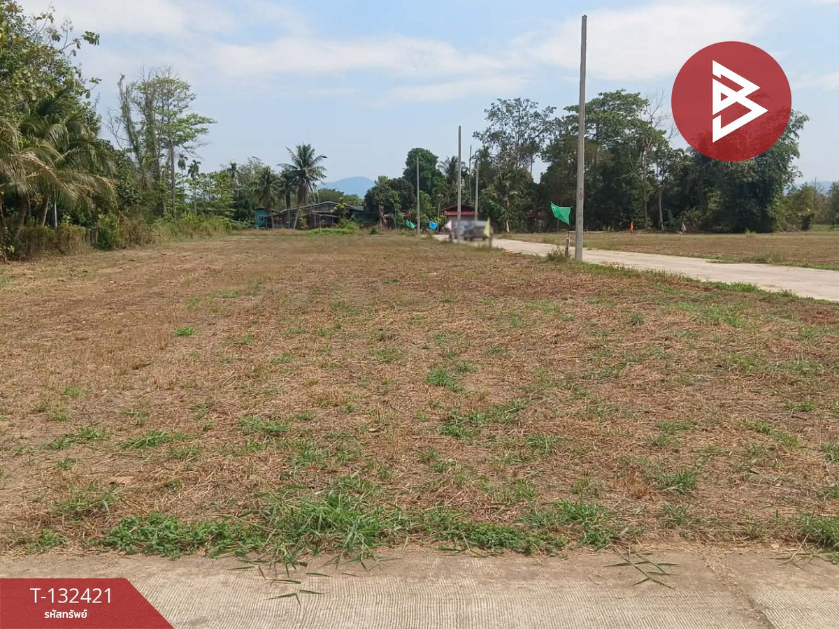 ขายที่ดินระยอง : ขายที่ดิน เนื้อที่ 91.7 ตร.วา บ้านค่าย ระยอง