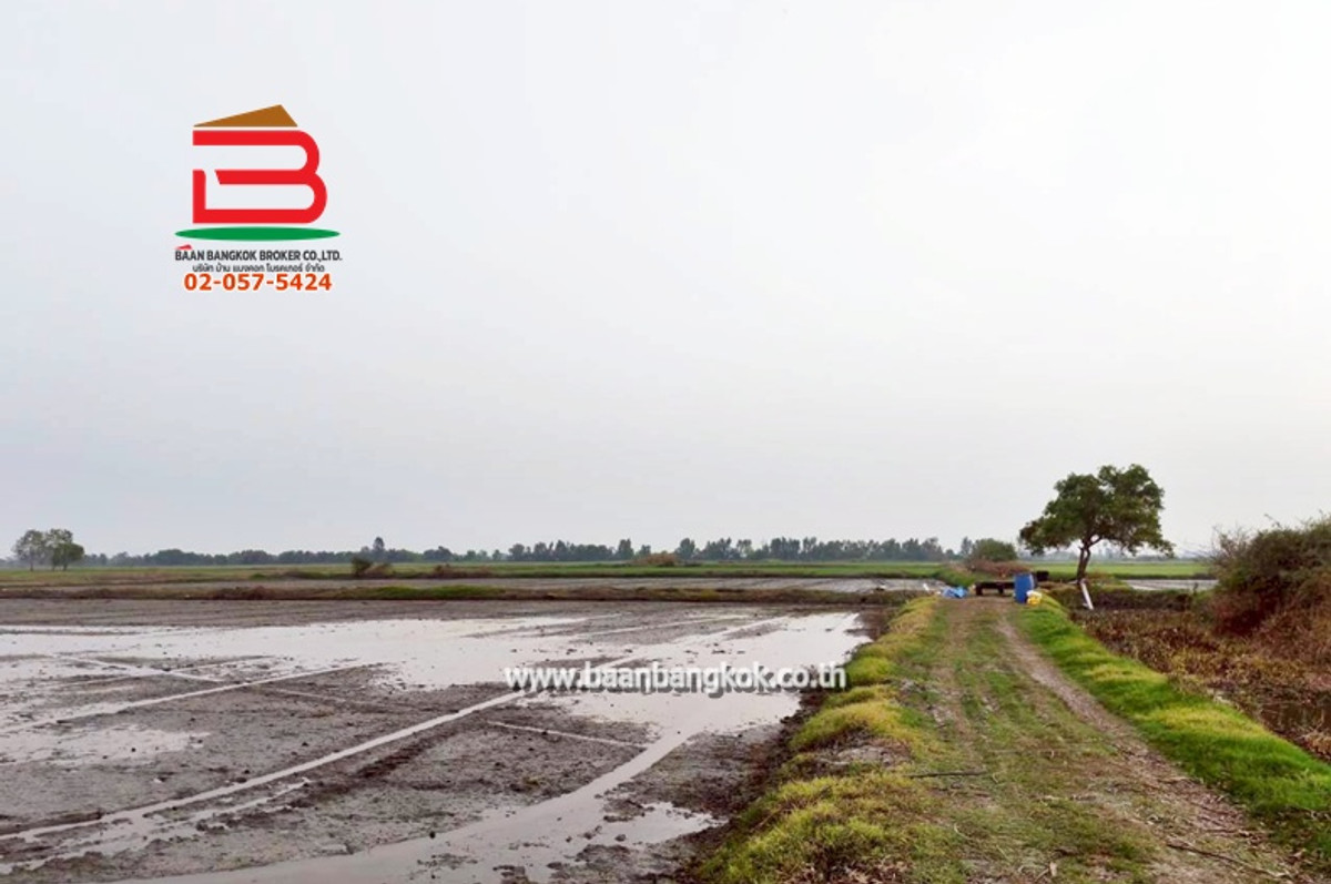 ขายที่ดินสุพรรณบุรี : ที่ดินเปล่า เนื้อที่ 25-1-56 ไร่ เทศบาลไผ่กองดิน ถนนสุพรรณบุรี-ชัยนาท (340) ตำบลทองขาหย่าง อำเภอบางปลาม้า จังหวัดสุพรรณบุรี