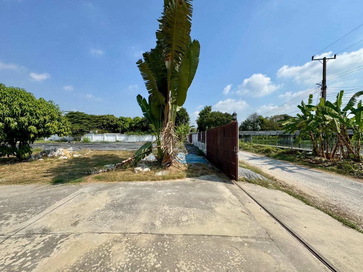 ให้เช่าโฮมออฟฟิศพัฒนาการ ศรีนครินทร์ : เช่า โฮมออฟฟิศ บ้านเดี่ยว ที่ดิน 1 ไร่ กรุงเทพกรีฑา ตัดใหม่ เช่าทำธุรกิจ รีโนเวท ต่อเติมได้ ยินดี รับผู้เช่าทำธุรกิจ ระยะยาว 