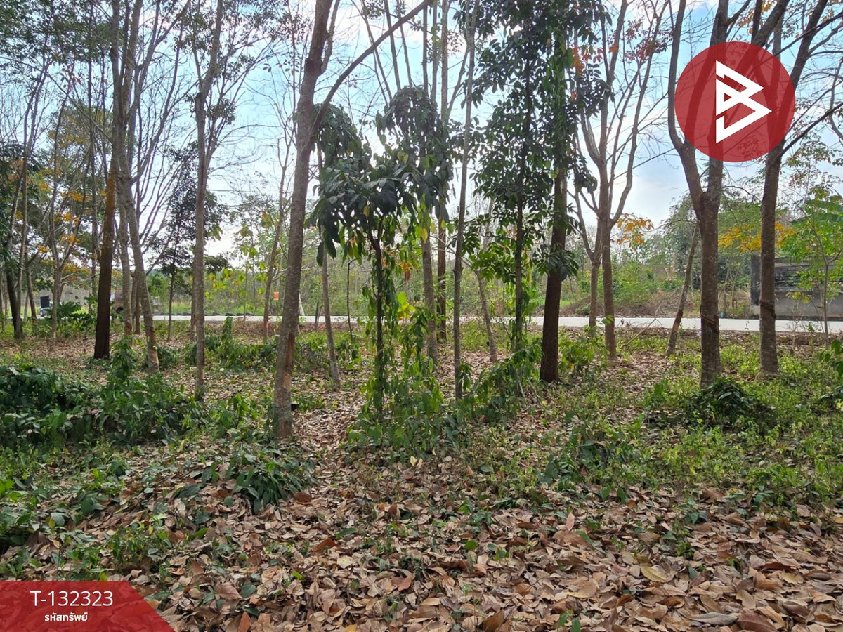 ขายที่ดินระยอง : ขายที่ดิน เนื้อที่ 3 ไร่ 1 งาน 32 ตารางวา แกลง ระยอง