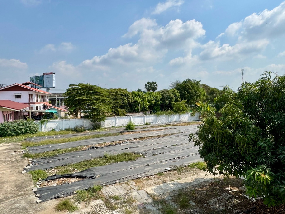 ให้เช่าโฮมออฟฟิศพัฒนาการ ศรีนครินทร์ : เช่า โฮมออฟฟิศ บ้านเดี่ยว ที่ดิน 1 ไร่ กรุงเทพกรีฑา ตัดใหม่ เช่าทำธุรกิจ รีโนเวท ต่อเติมได้ ยินดี รับผู้เช่าทำธุรกิจ ระยะยาว 