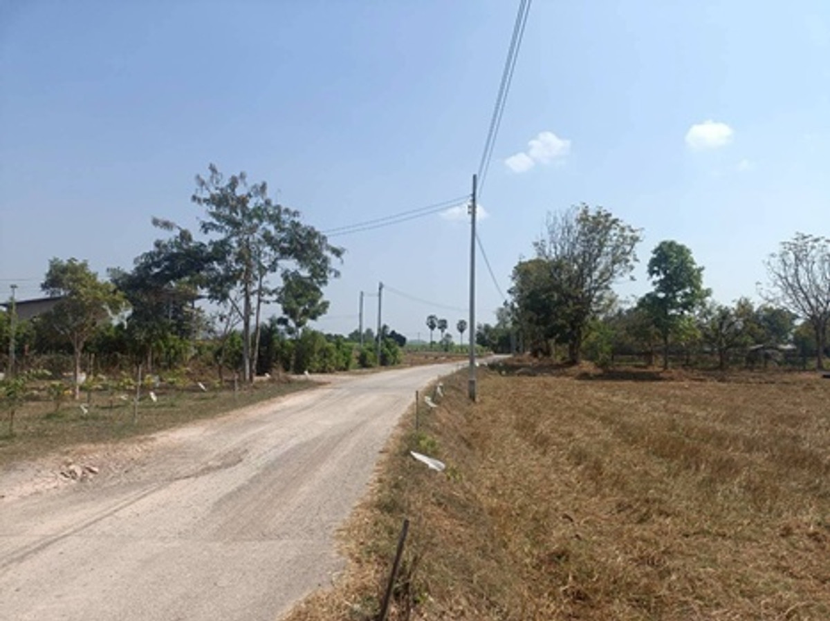 ขายที่ดินราชบุรี : ที่ดินขนาด 6 ไร่ 3 งาน 84 ตารางวา ตำบลทุ่งหลวง อำเภอปากท่อ จังหวัดราชบุรี ราคา 2,990,000 บาท