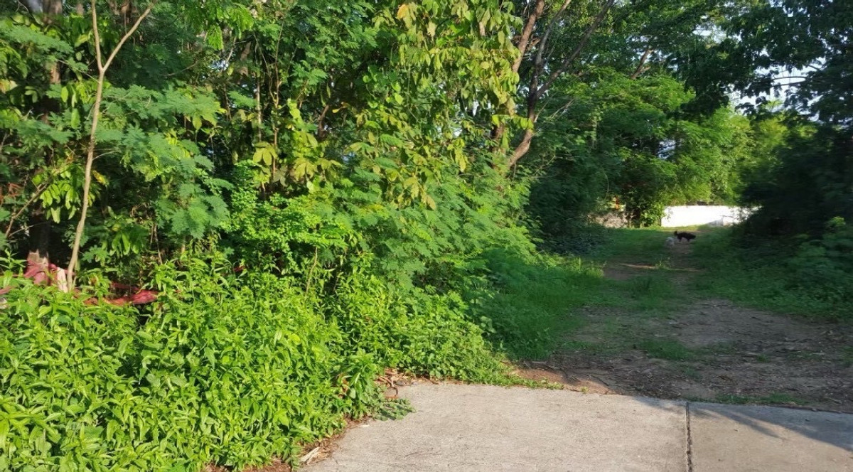 ขายที่ดินนครพนม : [ ขาย ] ที่ดิน 181.2 ตรว ตัวเมือง นครพนม ซอย ราชทัณฑ์ 9 ถนน ราชทัณฑ์ อำเภอ เมือง จังหวัดนครพนม