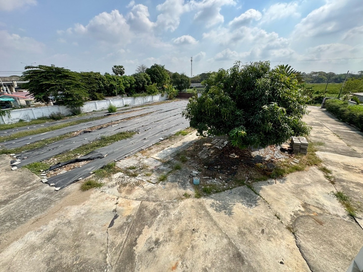 ให้เช่าโฮมออฟฟิศพัฒนาการ ศรีนครินทร์ : เช่า โฮมออฟฟิศ บ้านเดี่ยว ที่ดิน 1 ไร่ กรุงเทพกรีฑา ตัดใหม่ เช่าทำธุรกิจ รีโนเวท ต่อเติมได้ ยินดี รับผู้เช่าทำธุรกิจ ระยะยาว 