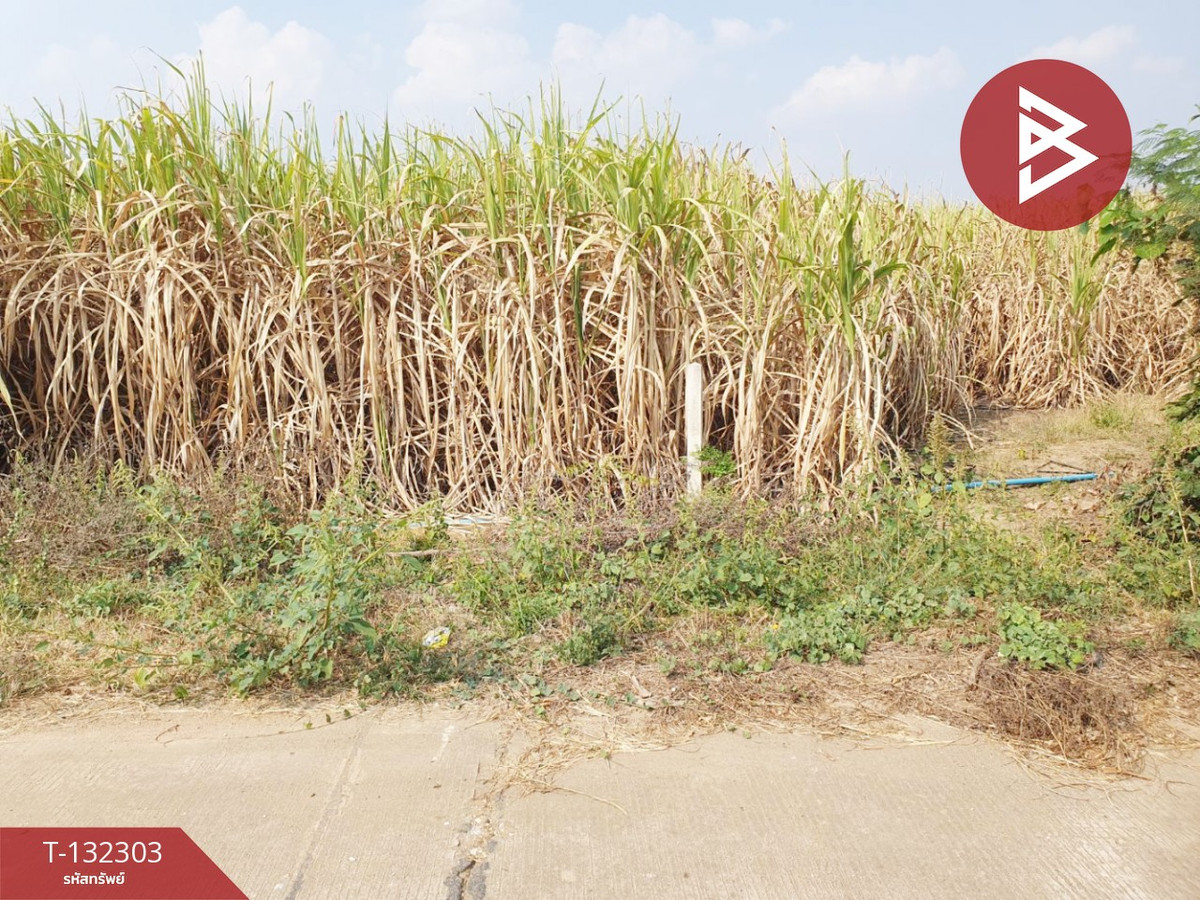 ขายที่ดินกาญจนบุรี : ขายที่ดินแปลงสวย เนื้อที่ 7 ไร่ 2 งาน ต.วังด้ง กาญจนบุรี