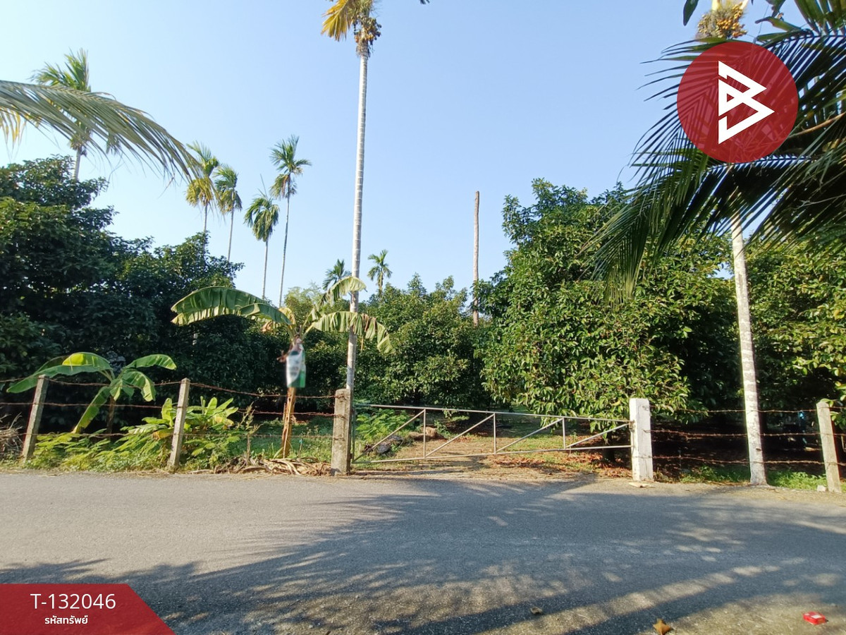 ขายที่ดินจันทบุรี : ขายที่ดินพร้อมสวนผลไม้ เนื้อที่ 1 ไร่ 3 งาน 21 ตารางวา พลับพลา จันทบุรี