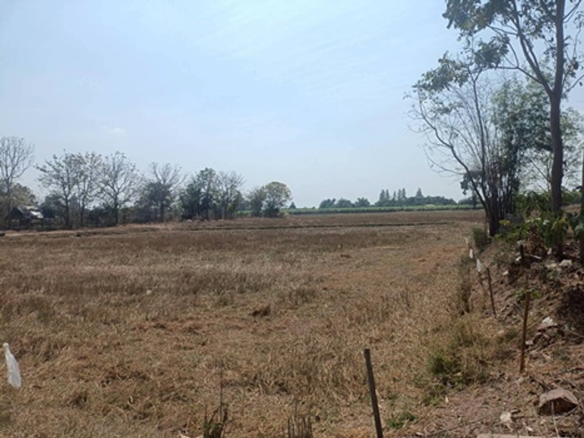 ขายที่ดินราชบุรี : ที่ดินขนาด 6 ไร่ 3 งาน 84 ตารางวา ตำบลทุ่งหลวง อำเภอปากท่อ จังหวัดราชบุรี ราคา 2,990,000 บาท