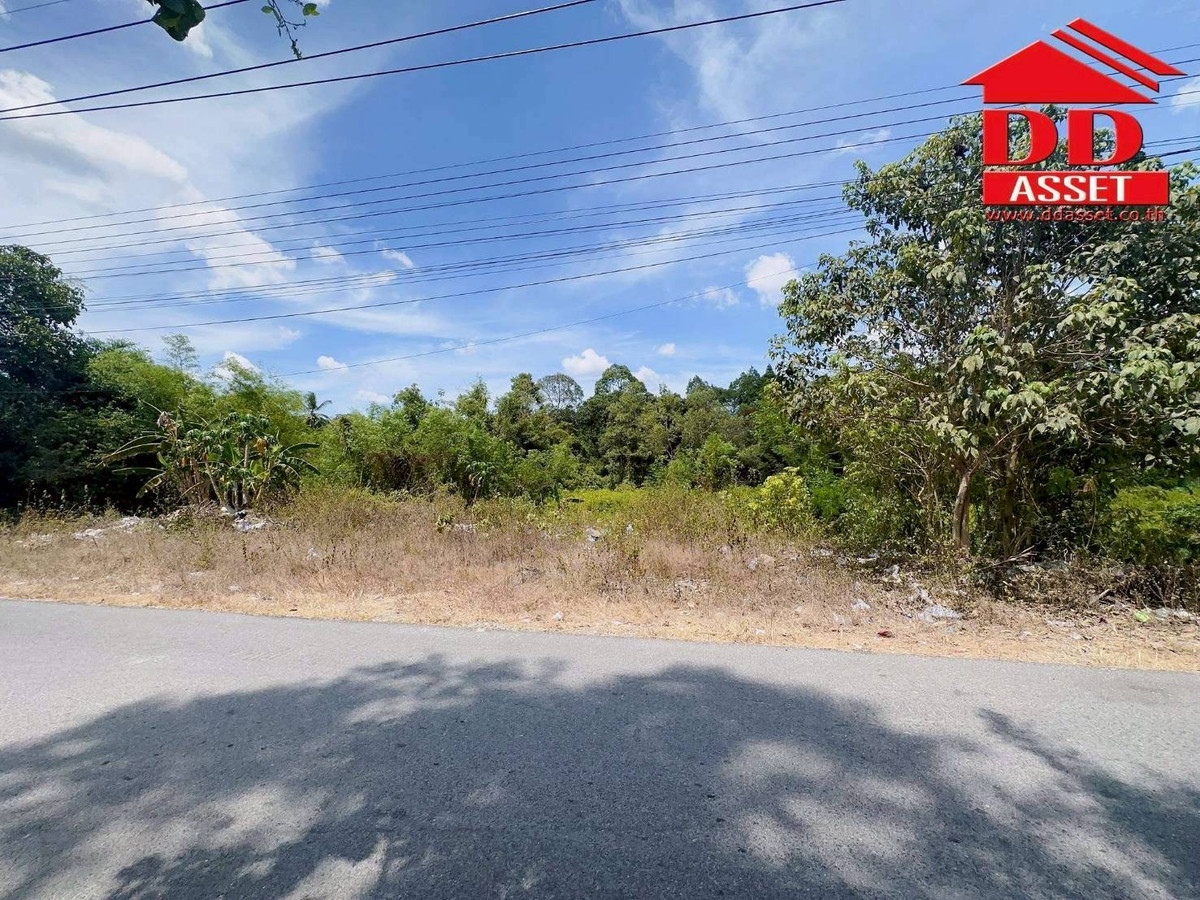 ขายที่ดินนครศรีธรรมราช : ขายที่ดินใกล้โรงเรียนสะเพลง อำเภอเฉลิมพระเกียรติ นครศรีธรรมราช  รหัส : L8052