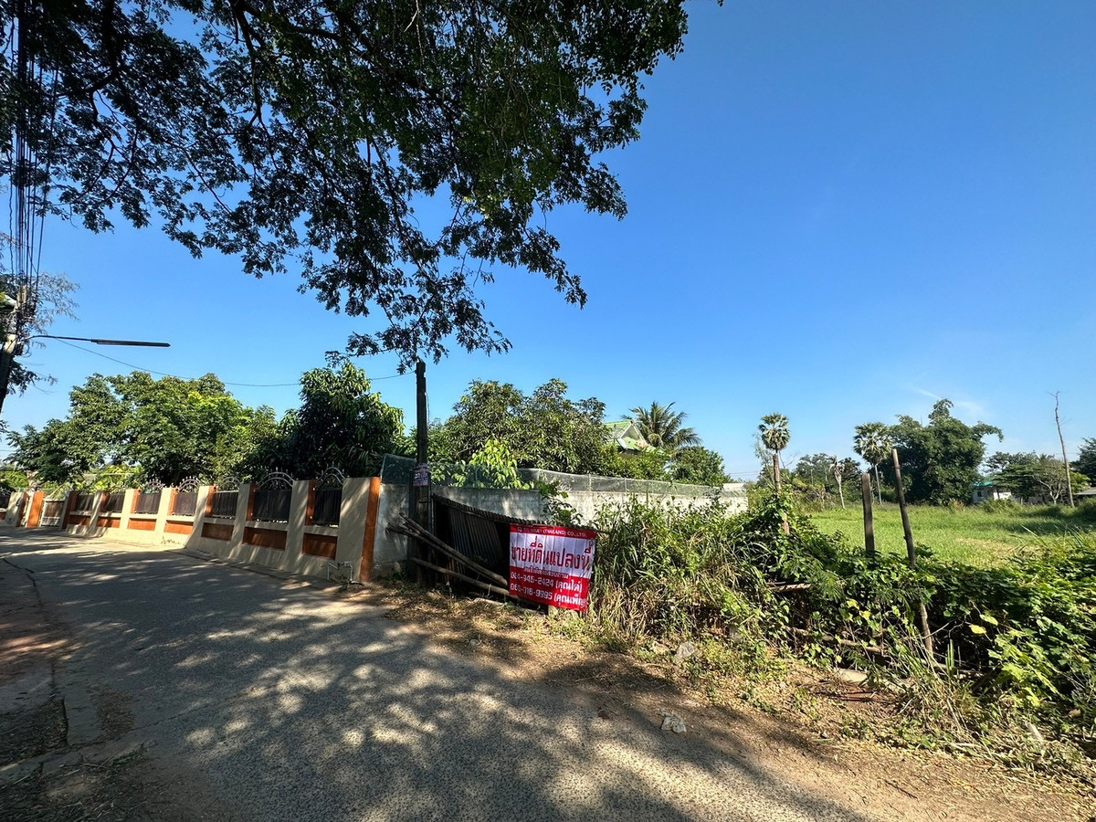 ขายที่ดินโคราช นครราชสีมา : ขายที่ดิน จ.นครราชสีมา ซอยเฉลิมพระเกียรติ เมืองย่าโม รหัส : L8053