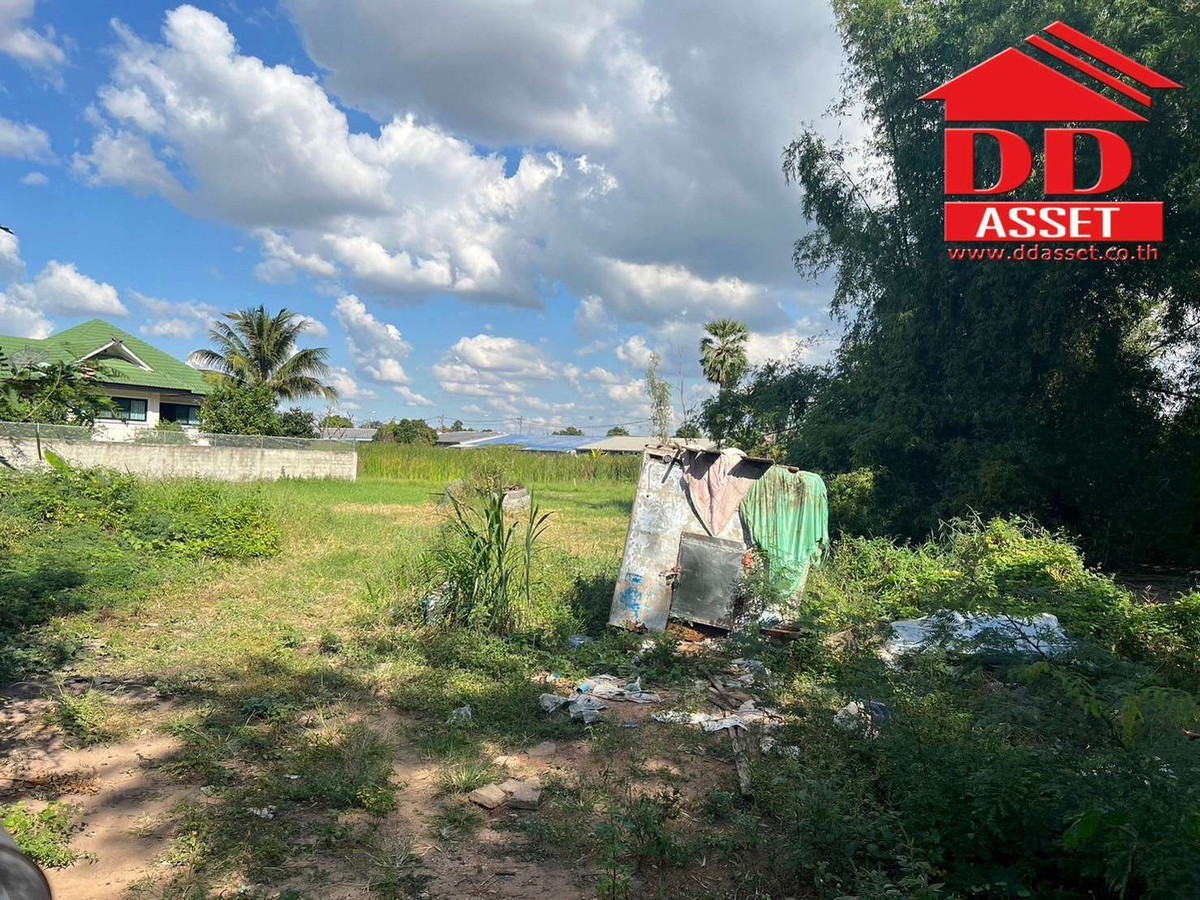 ขายที่ดินโคราช นครราชสีมา : ขายที่ดิน จ.นครราชสีมา ซอยเฉลิมพระเกียรติ เมืองย่าโม รหัส : L8053