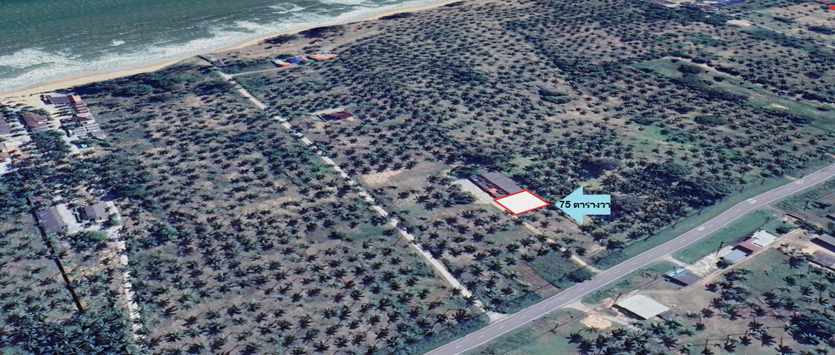 ขายที่ดินหัวหิน ประจวบคีรีขันธ์ : ที่ดินชายทะเล บางสะพาน ราคาถูก