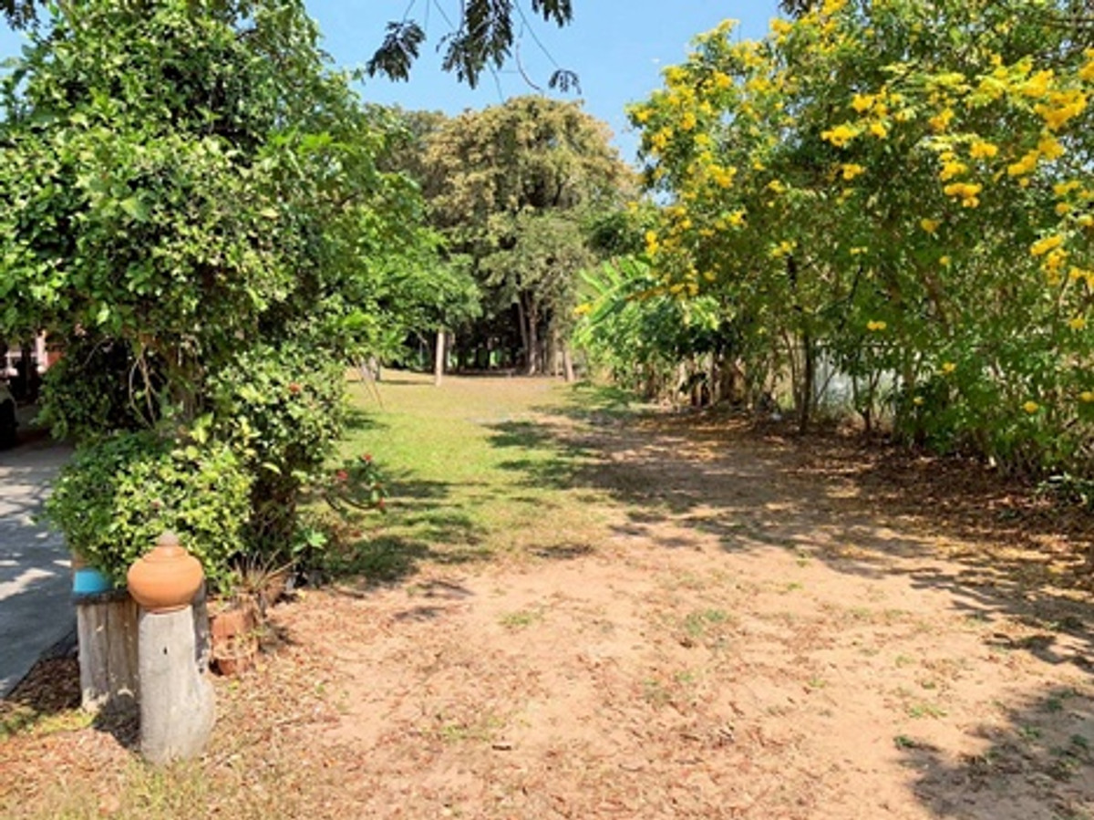 ขายบ้านโคราช นครราชสีมา : บ้านพร้อมที่ดินขนาดใหญ่ 1 ไร่ 3 งาน 97.9 ตารางวา (รวม 797.9 ตารางวา) ในตำบลจอหอ เมืองนครราชสีมา ราคา 15,000,000 บาท