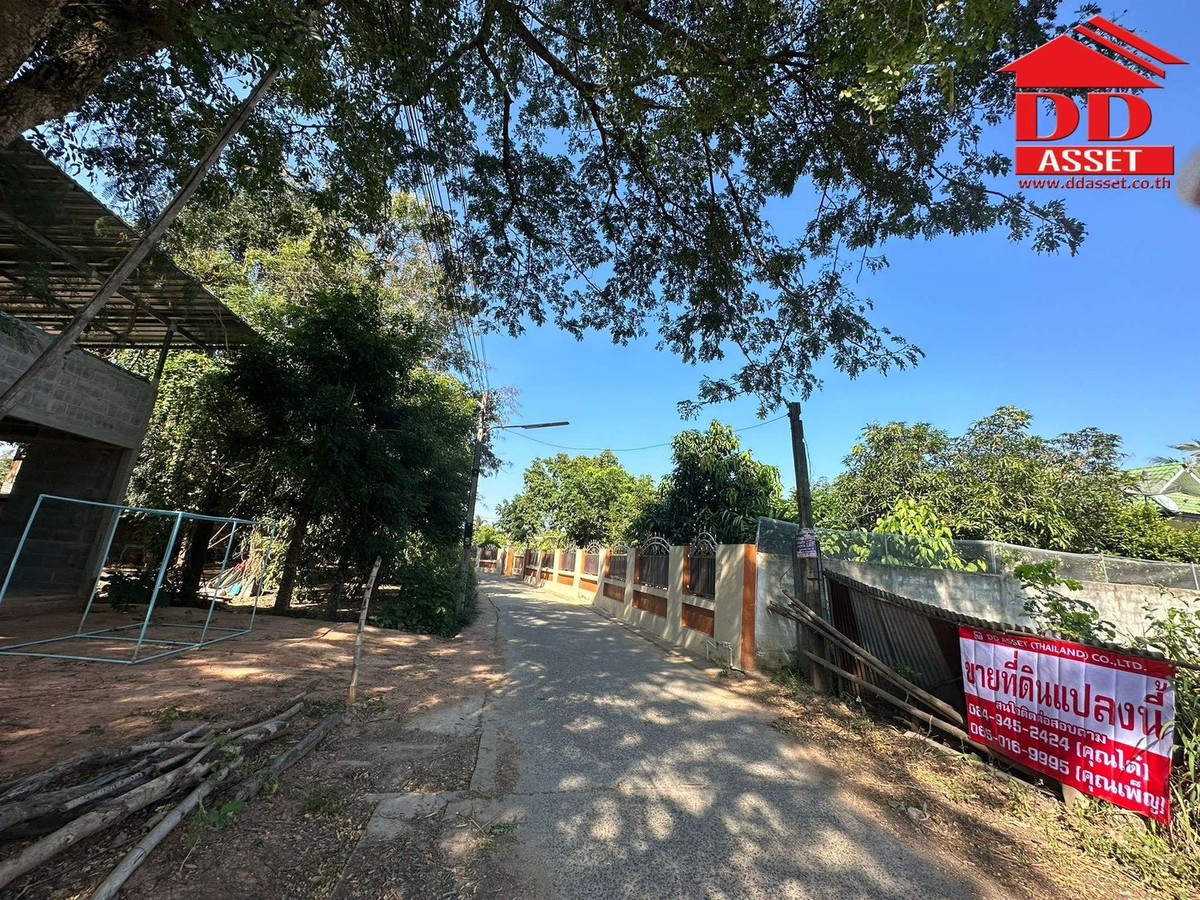 ขายที่ดินโคราช นครราชสีมา : ขายที่ดิน จ.นครราชสีมา ซอยเฉลิมพระเกียรติ เมืองย่าโม รหัส : L8053