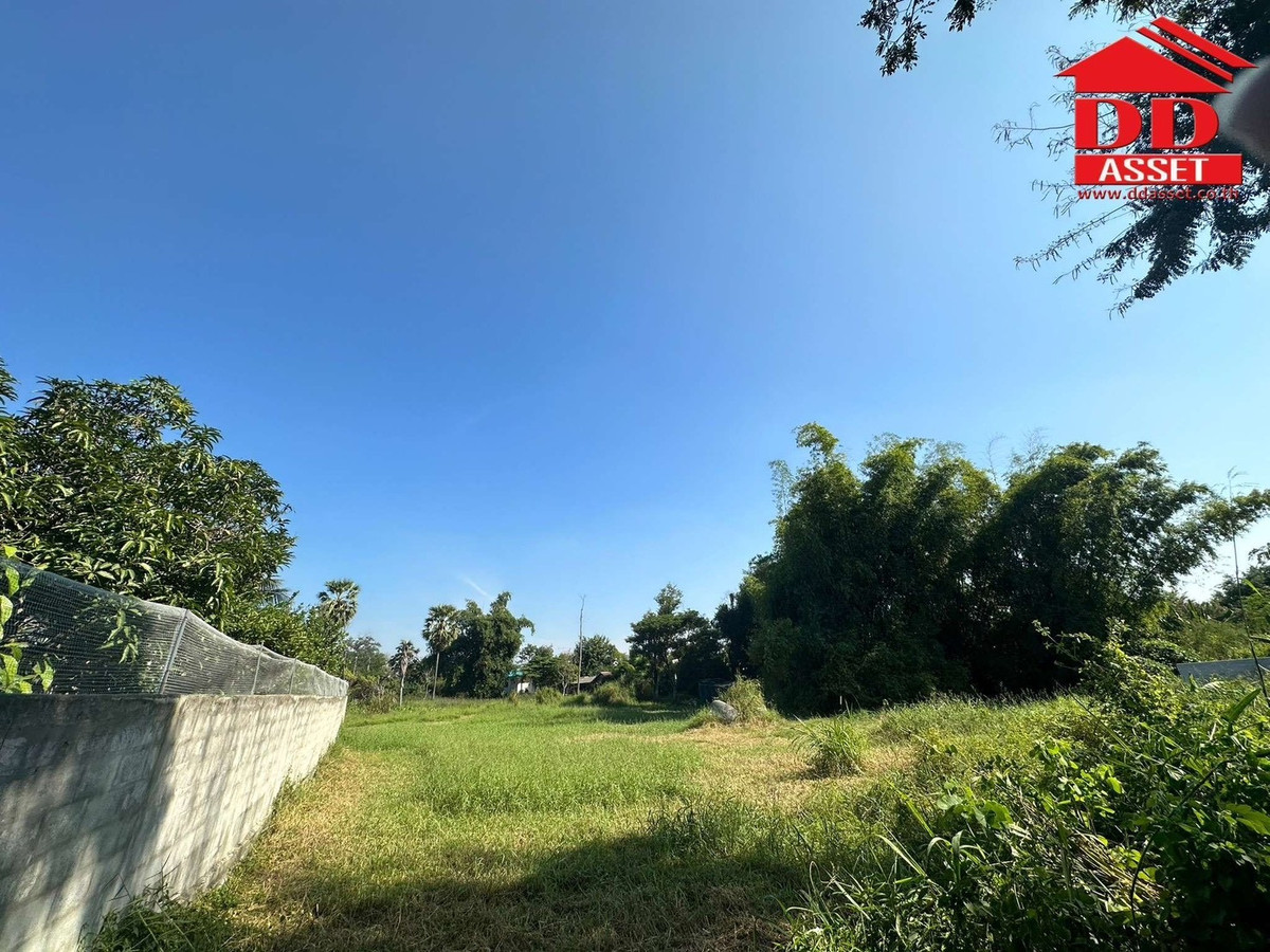 For SaleLandKorat Nakhon Ratchasima : Land for sale, Nakhon Ratchasima Province, Soi Chalerm Prakiat, Mueang Ya Mo, Code: L8053