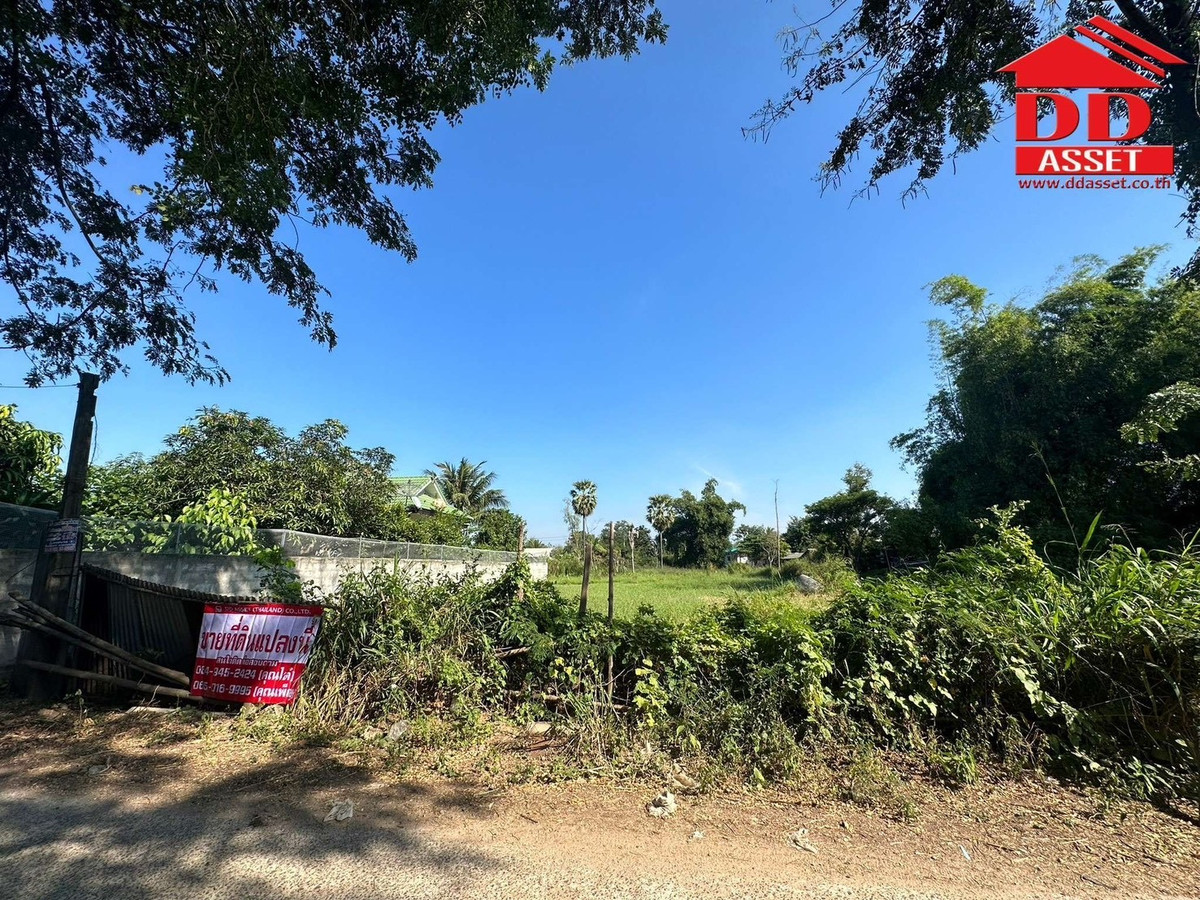 ขายที่ดินโคราช นครราชสีมา : ขายที่ดิน จ.นครราชสีมา ซอยเฉลิมพระเกียรติ เมืองย่าโม รหัส : L8053