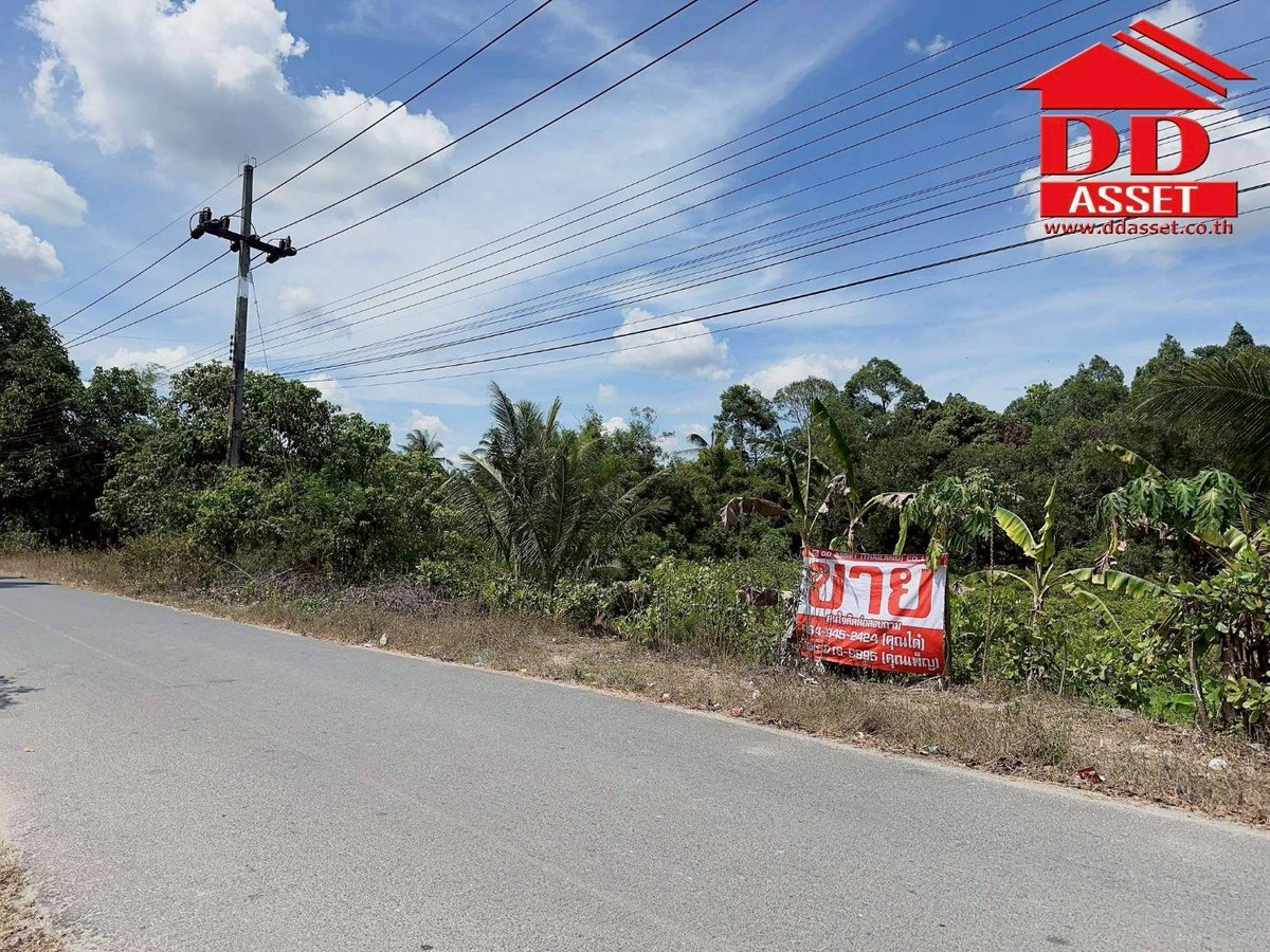 ขายที่ดินนครศรีธรรมราช : ขายที่ดินใกล้โรงเรียนสะเพลง อำเภอเฉลิมพระเกียรติ นครศรีธรรมราช  รหัส : L8052