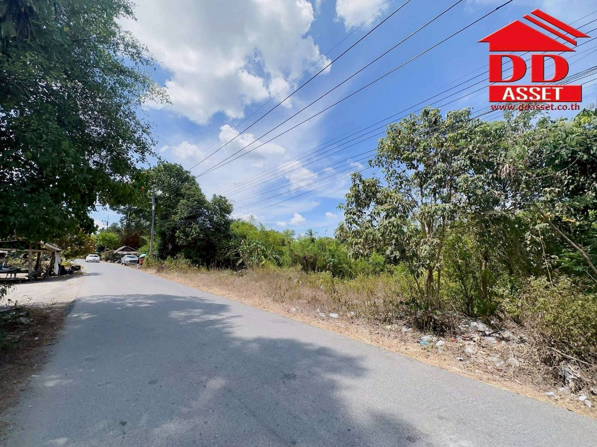 ขายที่ดินนครศรีธรรมราช : ขายที่ดินใกล้โรงเรียนสะเพลง อำเภอเฉลิมพระเกียรติ นครศรีธรรมราช  รหัส : L8052