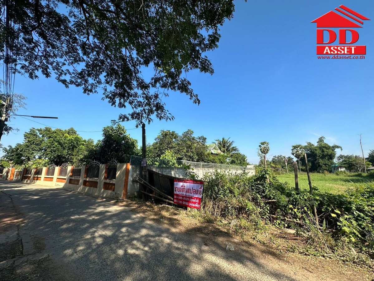 ขายที่ดินโคราช นครราชสีมา : ขายที่ดิน จ.นครราชสีมา ซอยเฉลิมพระเกียรติ เมืองย่าโม รหัส : L8053