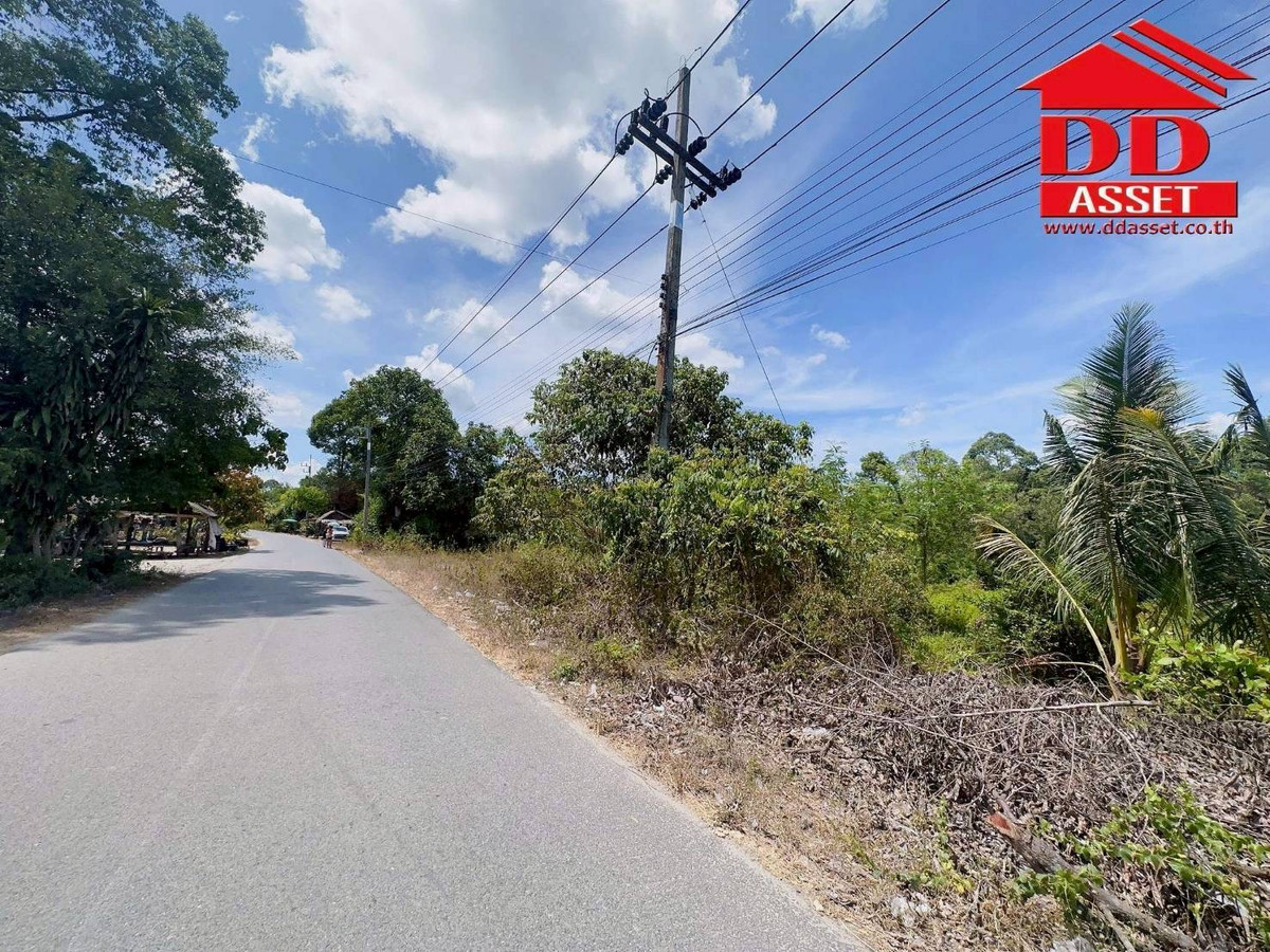 ขายที่ดินนครศรีธรรมราช : ขายที่ดินใกล้โรงเรียนสะเพลง อำเภอเฉลิมพระเกียรติ นครศรีธรรมราช  รหัส : L8052