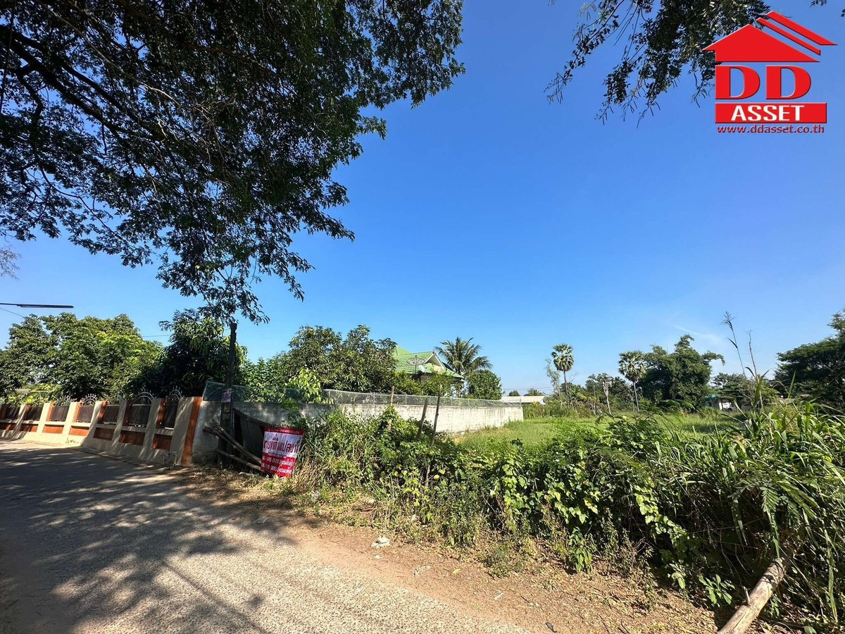 ขายที่ดินโคราช นครราชสีมา : ขายที่ดิน จ.นครราชสีมา ซอยเฉลิมพระเกียรติ เมืองย่าโม รหัส : L8053