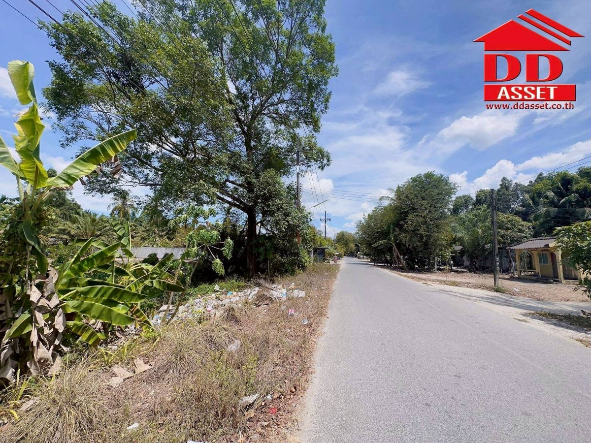 ขายที่ดินนครศรีธรรมราช : ขายที่ดินใกล้โรงเรียนสะเพลง อำเภอเฉลิมพระเกียรติ นครศรีธรรมราช  รหัส : L8052