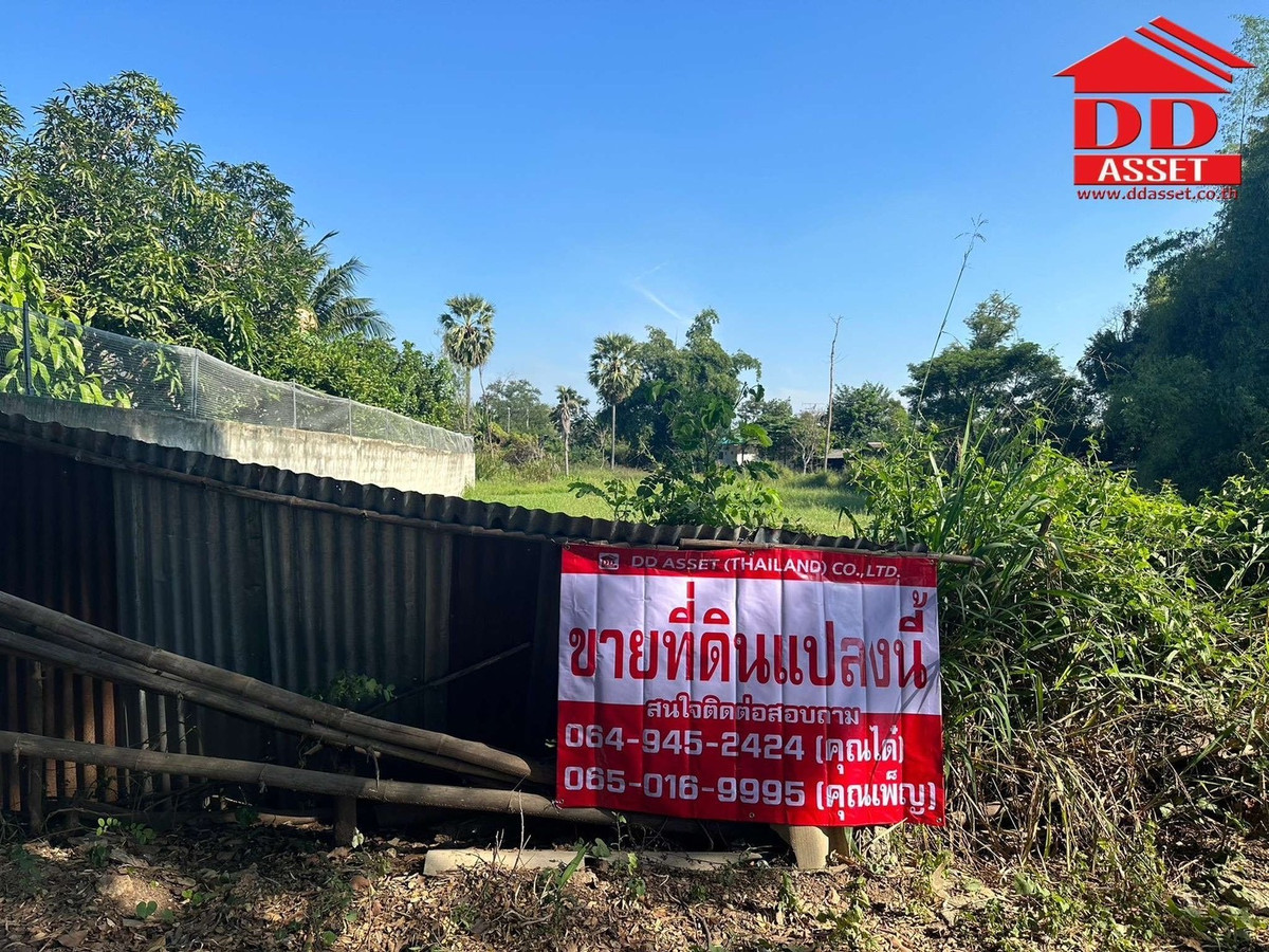 ขายที่ดินโคราช นครราชสีมา : ขายที่ดิน จ.นครราชสีมา ซอยเฉลิมพระเกียรติ เมืองย่าโม รหัส : L8053