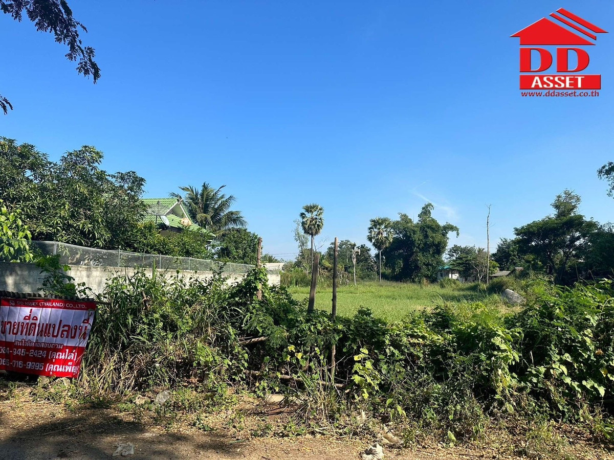 ขายที่ดินโคราช นครราชสีมา : ขายที่ดิน จ.นครราชสีมา ซอยเฉลิมพระเกียรติ เมืองย่าโม รหัส : L8053