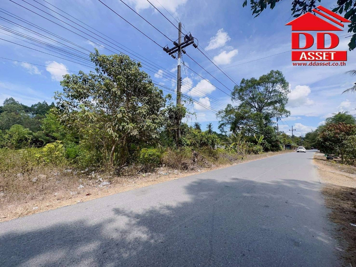 ขายที่ดินนครศรีธรรมราช : ขายที่ดินใกล้โรงเรียนสะเพลง อำเภอเฉลิมพระเกียรติ นครศรีธรรมราช  รหัส : L8052