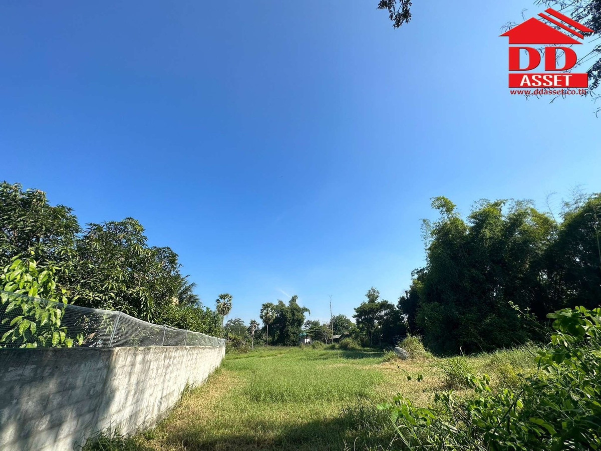 ขายที่ดินโคราช นครราชสีมา : ขายที่ดิน จ.นครราชสีมา ซอยเฉลิมพระเกียรติ เมืองย่าโม รหัส : L8053