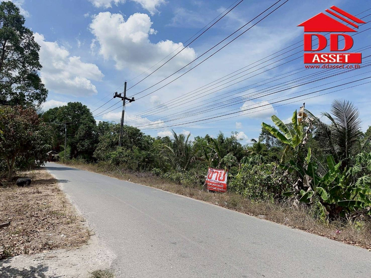 ขายที่ดินนครศรีธรรมราช : ขายที่ดินใกล้โรงเรียนสะเพลง อำเภอเฉลิมพระเกียรติ นครศรีธรรมราช  รหัส : L8052