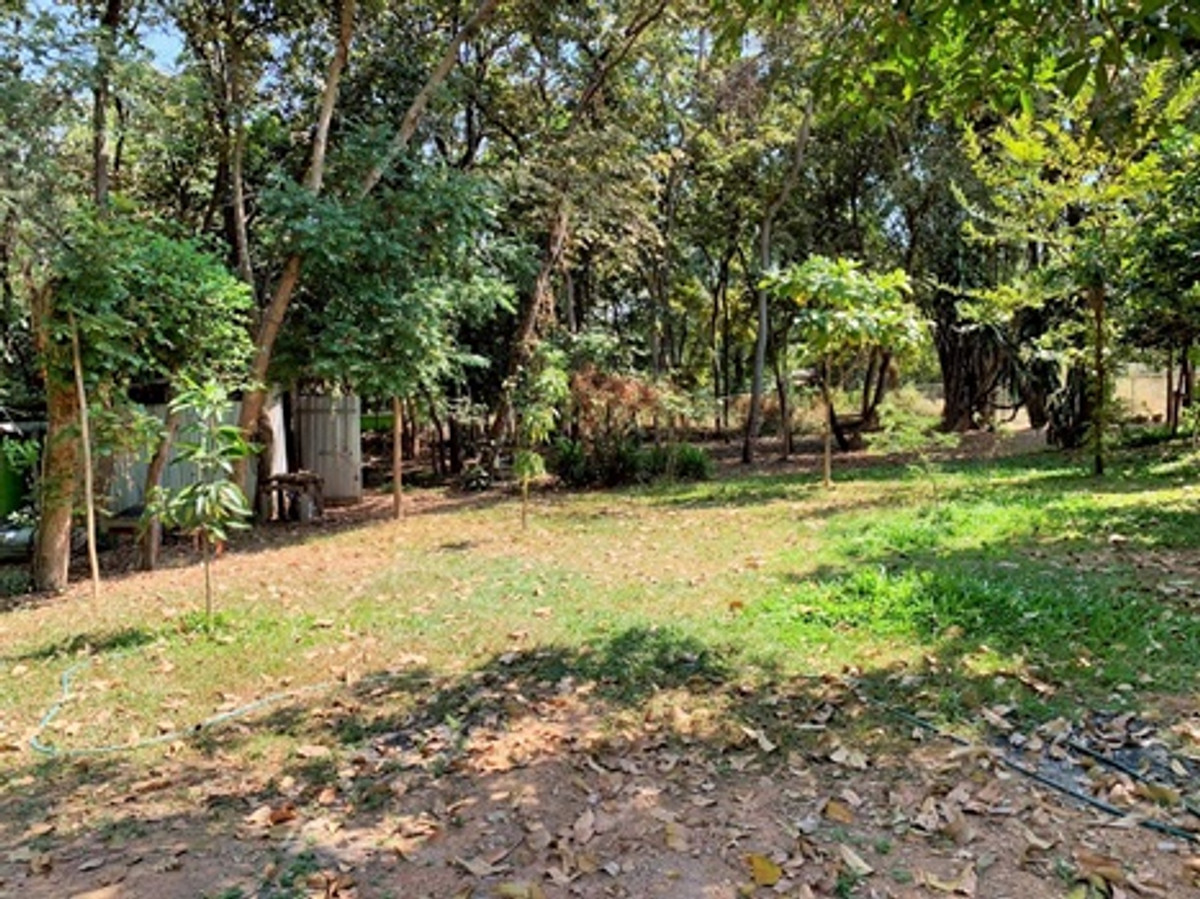 ขายบ้านโคราช นครราชสีมา : บ้านพร้อมที่ดินขนาดใหญ่ 1 ไร่ 3 งาน 97.9 ตารางวา (รวม 797.9 ตารางวา) ในตำบลจอหอ เมืองนครราชสีมา ราคา 15,000,000 บาท