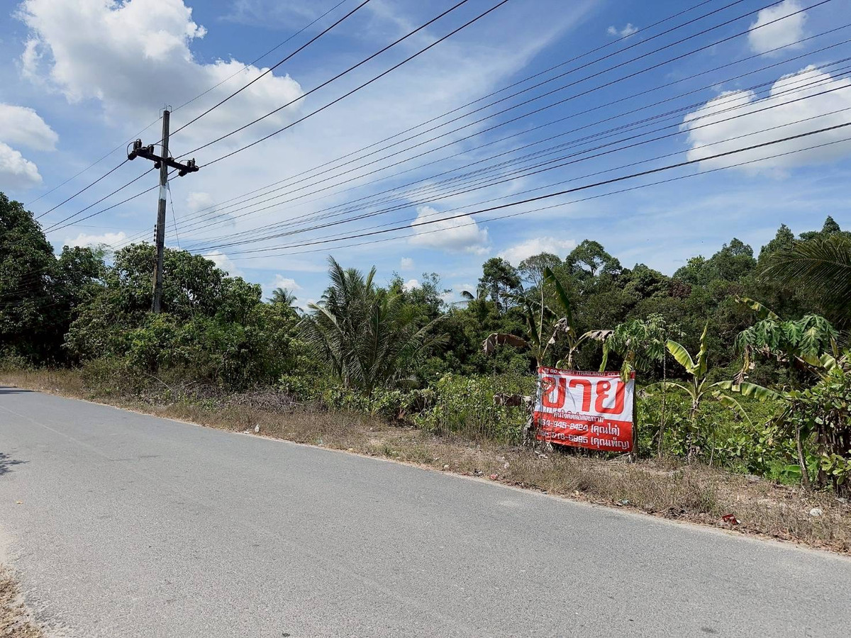 ขายที่ดินนครศรีธรรมราช : ขายที่ดินใกล้โรงเรียนสะเพลง อำเภอเฉลิมพระเกียรติ นครศรีธรรมราช  รหัส : L8052
