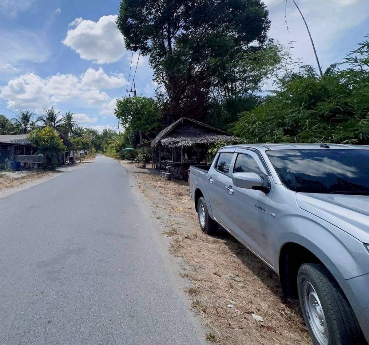 ขายที่ดินนครศรีธรรมราช : ขายที่ดินใกล้โรงเรียนสะเพลง อำเภอเฉลิมพระเกียรติ นครศรีธรรมราช  รหัส : L8052