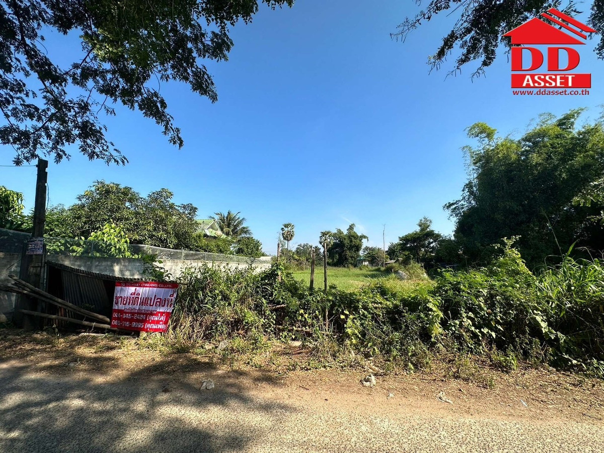 ขายที่ดินโคราช นครราชสีมา : ขายที่ดิน จ.นครราชสีมา ซอยเฉลิมพระเกียรติ เมืองย่าโม รหัส : L8053