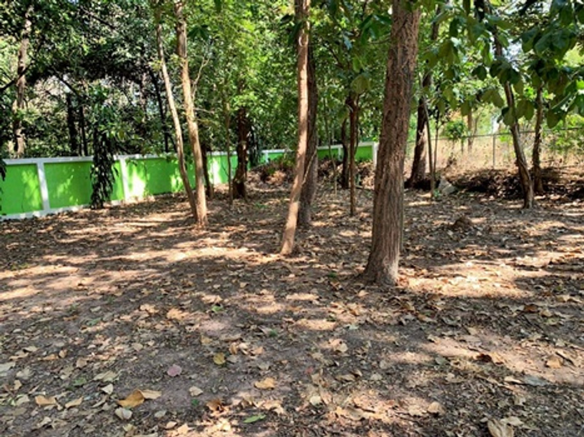 ขายบ้านโคราช นครราชสีมา : บ้านพร้อมที่ดินขนาดใหญ่ 1 ไร่ 3 งาน 97.9 ตารางวา (รวม 797.9 ตารางวา) ในตำบลจอหอ เมืองนครราชสีมา ราคา 15,000,000 บาท