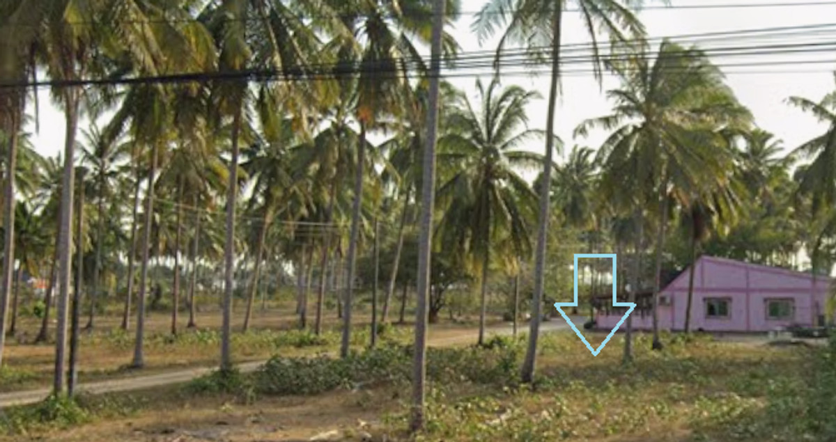 ขายที่ดินหัวหิน ประจวบคีรีขันธ์ : ที่ดินชายทะเล บางสะพาน ราคาถูก